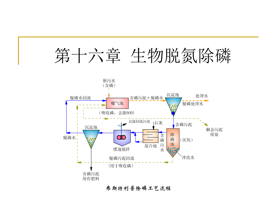 《生物脱氮除磷》PPT课件_第1页