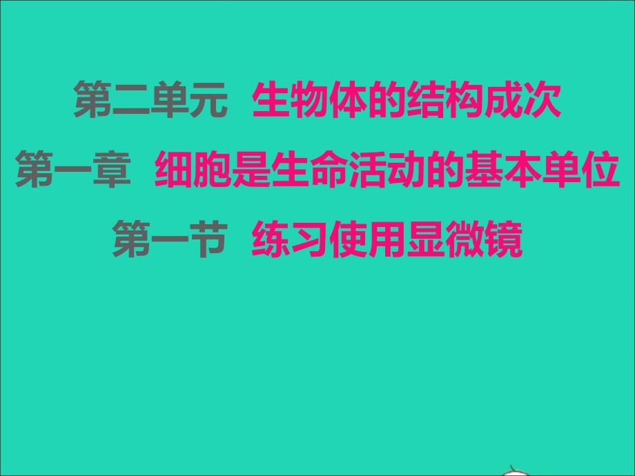 2022年七年級生物上冊第二單元生物體的結(jié)構(gòu)層次第一章細(xì)胞是生命活動的基本單位第1節(jié)練習(xí)使用顯微鏡課件新版新人教版_第1頁