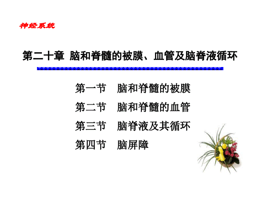 第二十章脑脊被膜血管及CSF循环课件_第1页