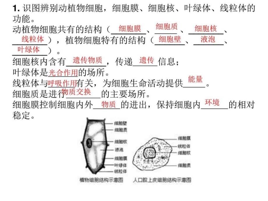 《生物知识点》PPT课件_第1页