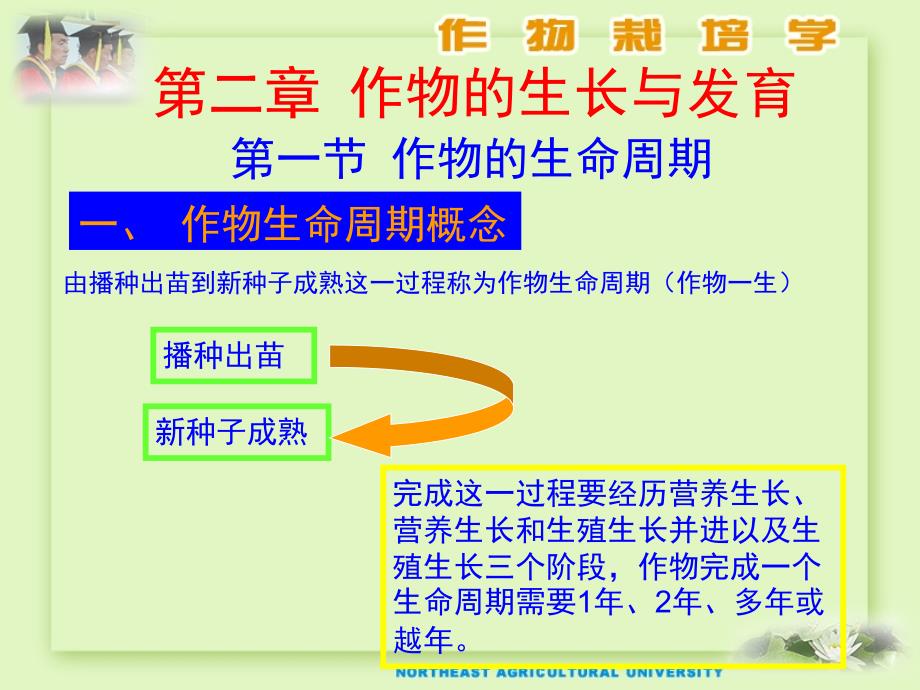 作物的生长与发育_第1页