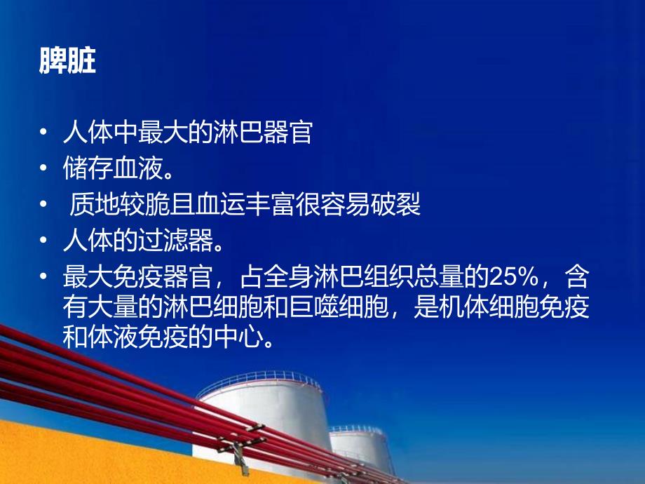 脾贫血性梗死and脾细动脉硬化课件_第1页