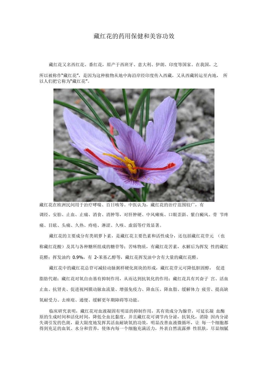 藏红花的药用保健和美容功效_第1页