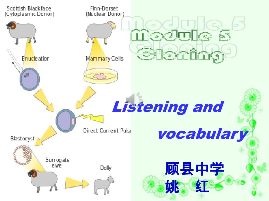 外研版高中英語(yǔ)Book 6 Module 6 War and Peace listening and vocabulary 教學(xué)課件 (共28張PPT)_第1頁(yè)