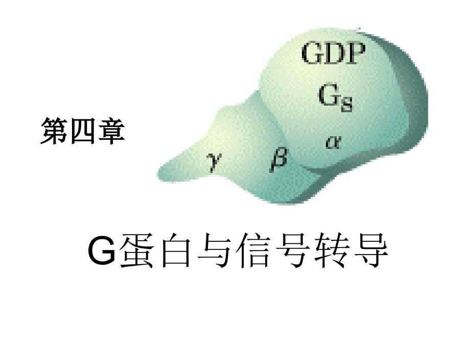 G蛋白与信号转导_第1页