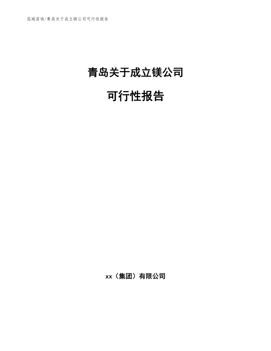 青岛关于成立镁公司可行性报告_第1页