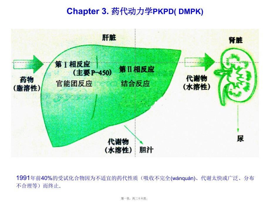 2022年醫(yī)學專題—第08篇-Chapter3.藥代動力學PKPD(DMPK)_第1頁