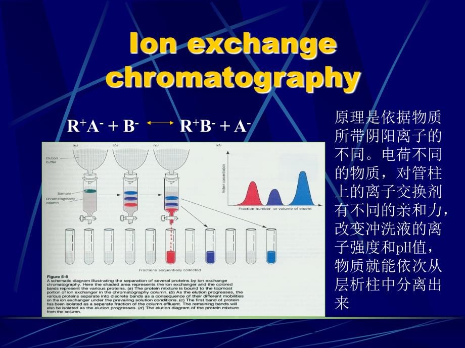 南农生物分离工程生物分离_第1页