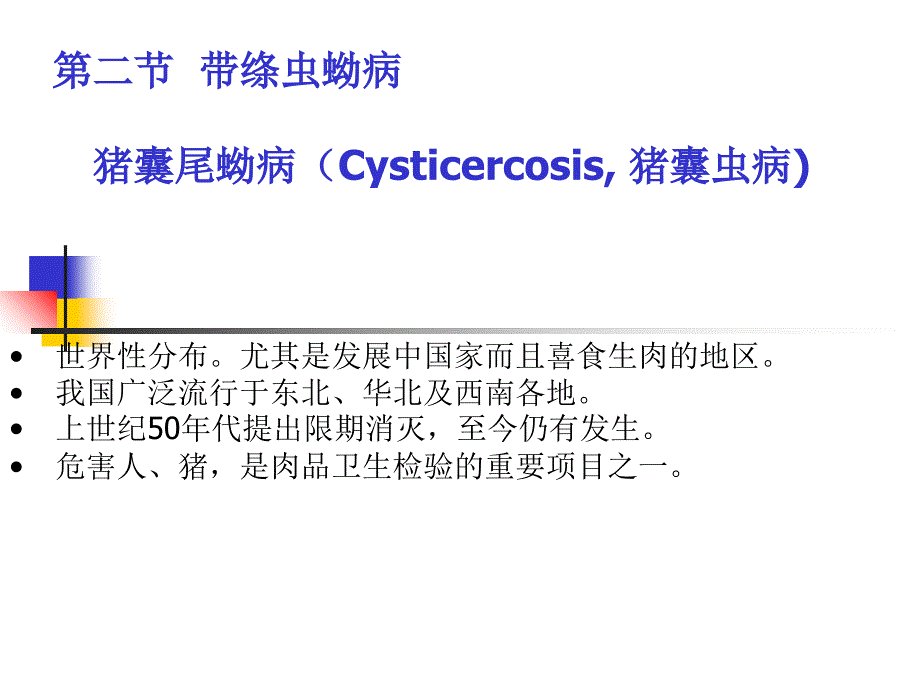 《绦虫病带绦虫蚴病》PPT课件_第1页