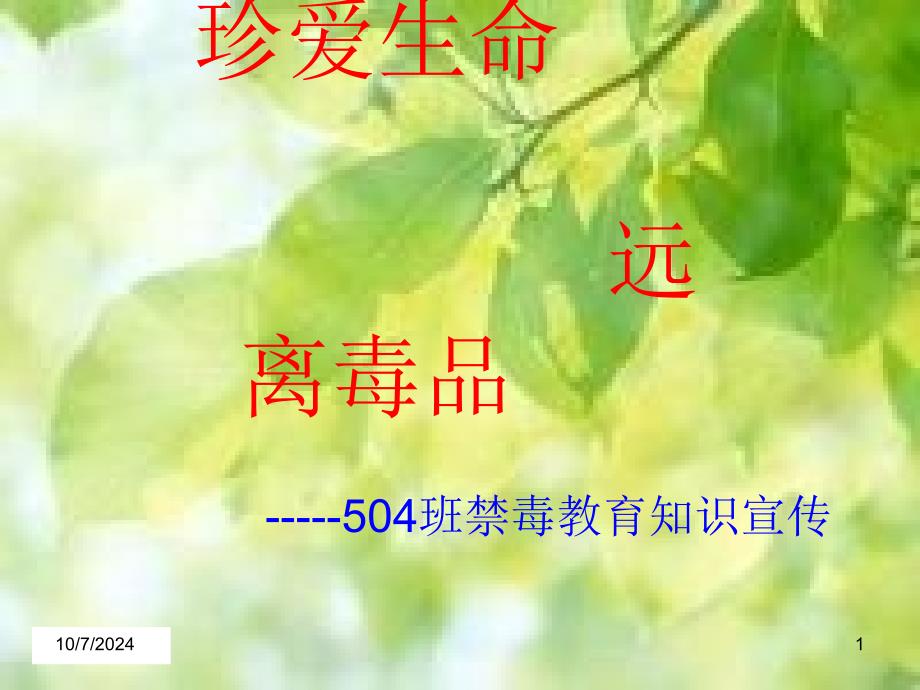 《禁毒教育》PPT课件_第1页