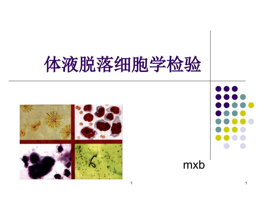 《胸腹水细胞学检验》PPT课件_第1页