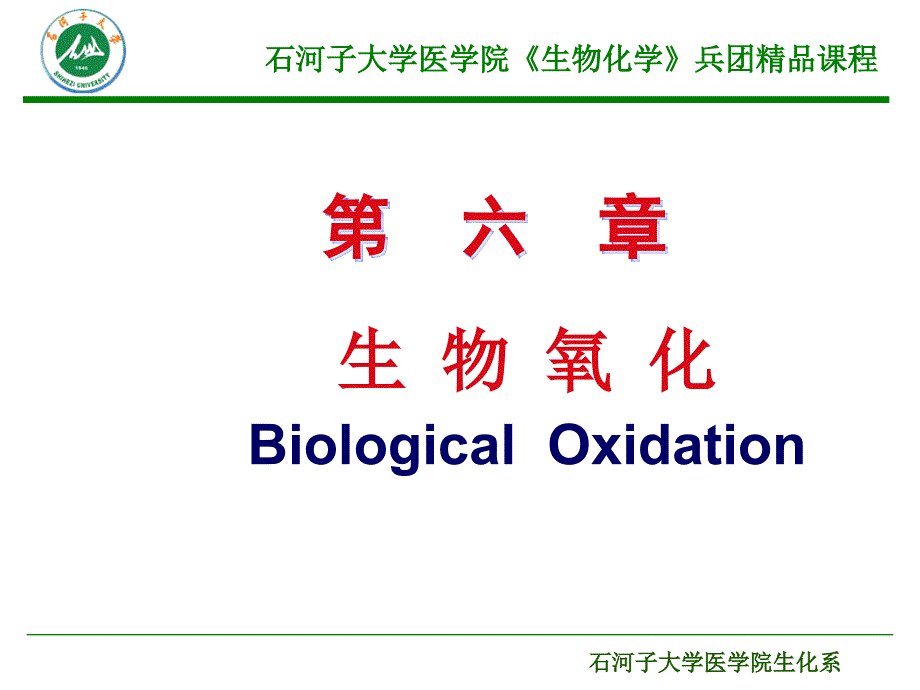 第七章-石河子大学课件_第1页