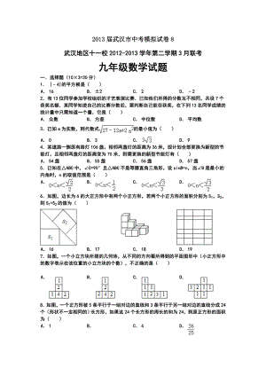 2013届武汉市中考模拟试卷8(11校3月联考)