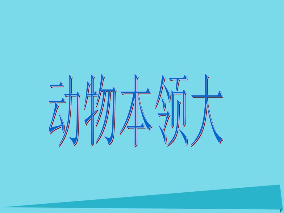 三年级科学上册第章第1课小动物本领大课件1新人教版_第1页