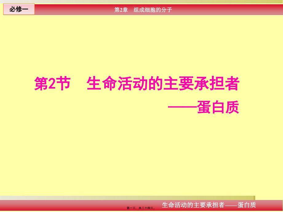 生命活動的主要承當者-——蛋白質(zhì)_第1頁