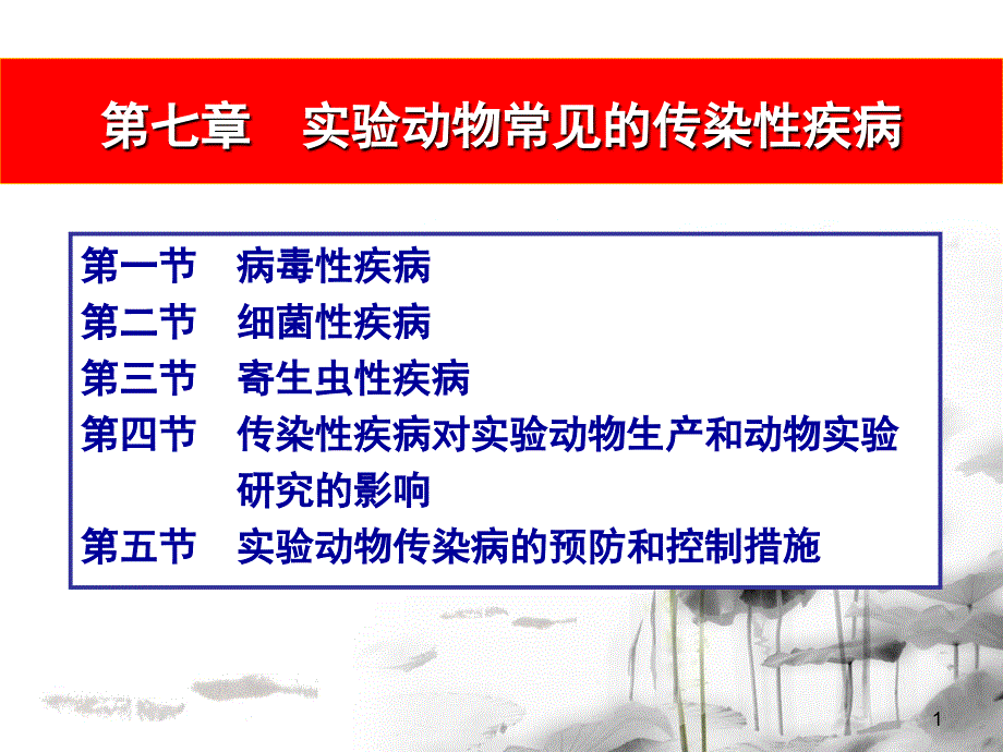 实验动物常见的传染性疾病_第1页