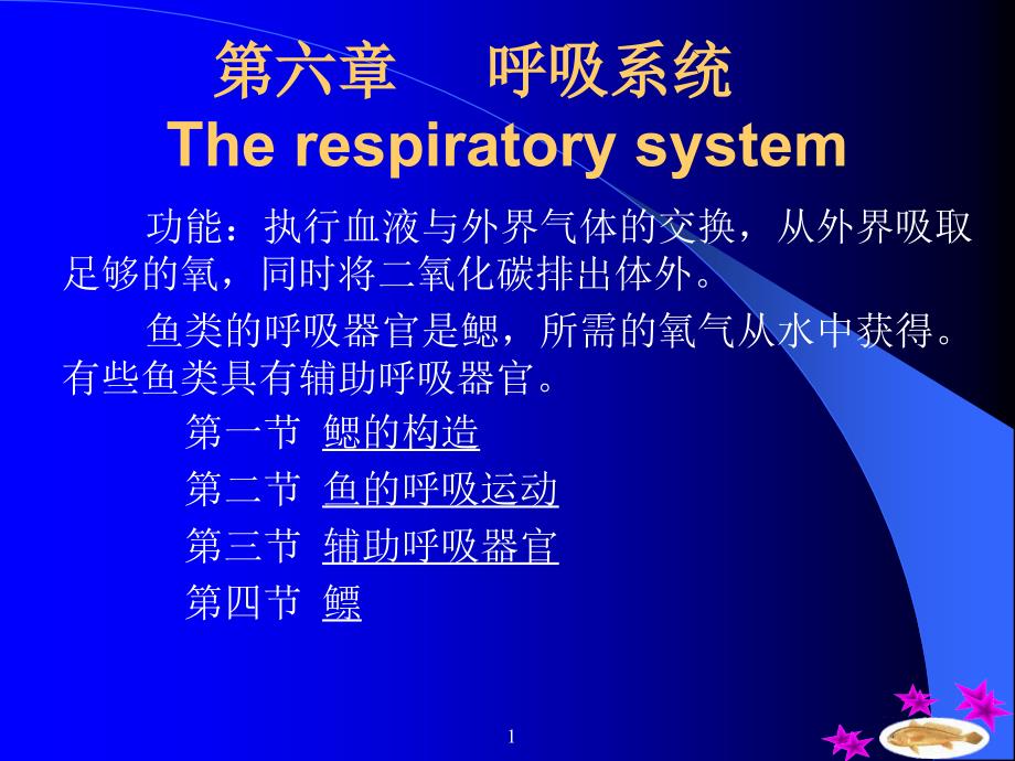 《鱼类的呼吸系统》PPT课件_第1页