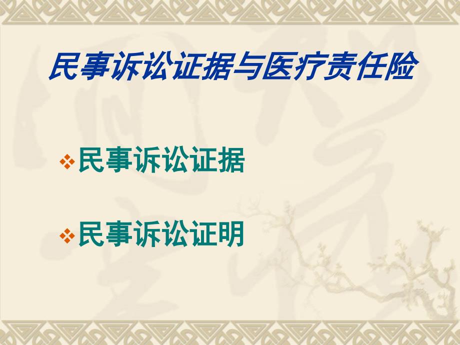 交通事故证据举质证-民事诉讼证据与医疗责任险_第1页