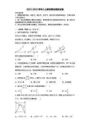 2022-2023学年湖南省长沙雅礼集团八年级数学第一学期期末预测试题含解析