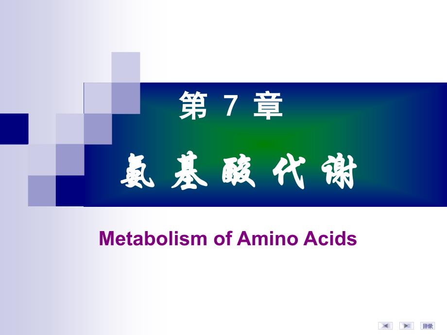 第07章氨基酸代谢1_第1页