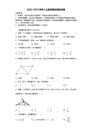 杭州市重点中学2022年数学八上期末达标检测试题含解析