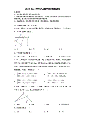 河北省宁晋县2022-2023学年数学八年级第一学期期末考试试题含解析