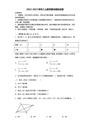 2022-2023学年黑龙江省鸡东县平阳中学数学八年级第一学期期末质量跟踪监视试题含解析