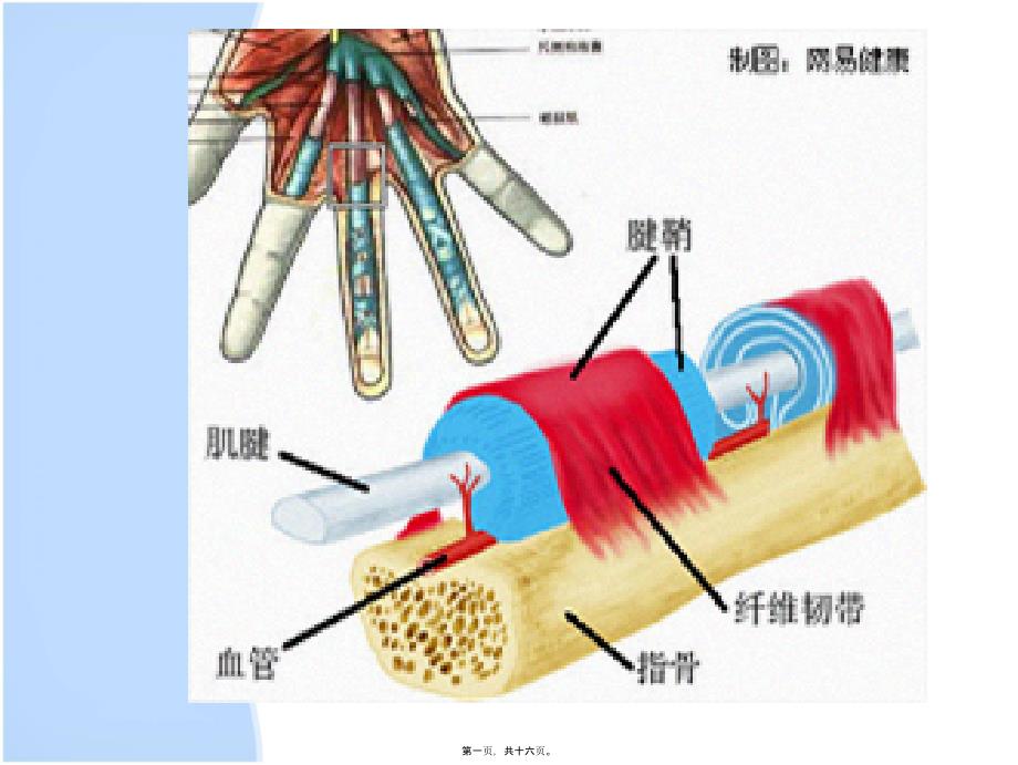 2022年医学专题—挠骨茎突狭窄性腱鞘炎_第1页