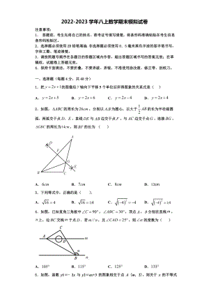 黑龙江省大庆市第五十五中学2022-2023学年数学八上期末质量跟踪监视模拟试题含解析