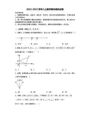 黑龙江省红光农场学校2022-2023学年八年级数学第一学期期末考试模拟试题含解析