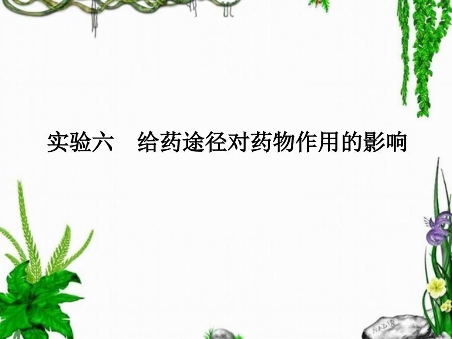 实验六给药途径对药物作用的影响_第1页