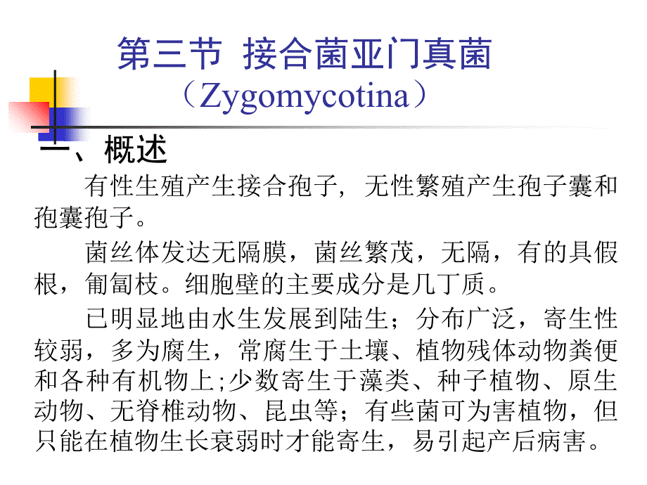 接合菌亚门真菌Zygomycotina_第1页