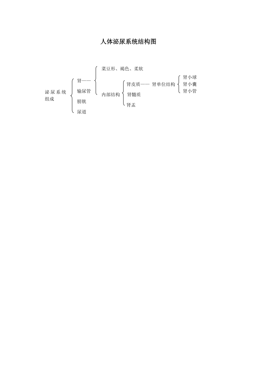 人体泌尿系统知识结构图_第1页