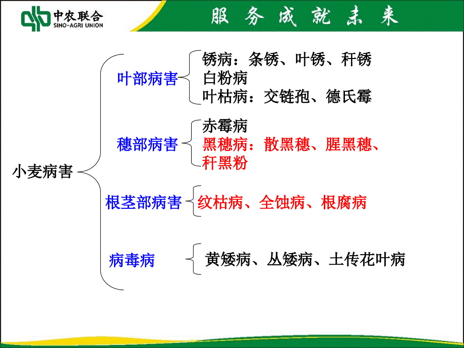 小麦主要病虫害_第1页