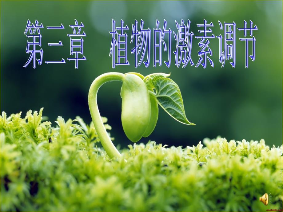 植物生长素的发现第一课时_第1页