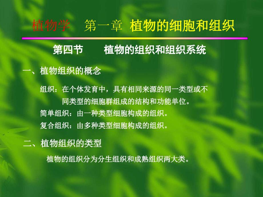 植物的组织和组织系统_第1页