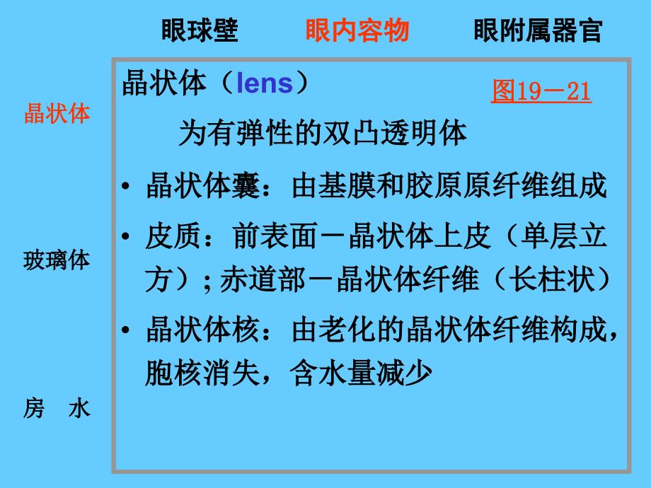 组织学课件09A眼和耳眼中_第1页