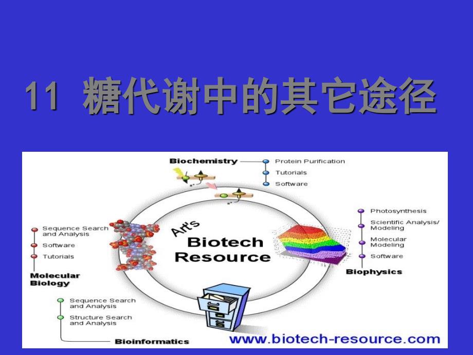 糖代谢中的其它途径_第1页