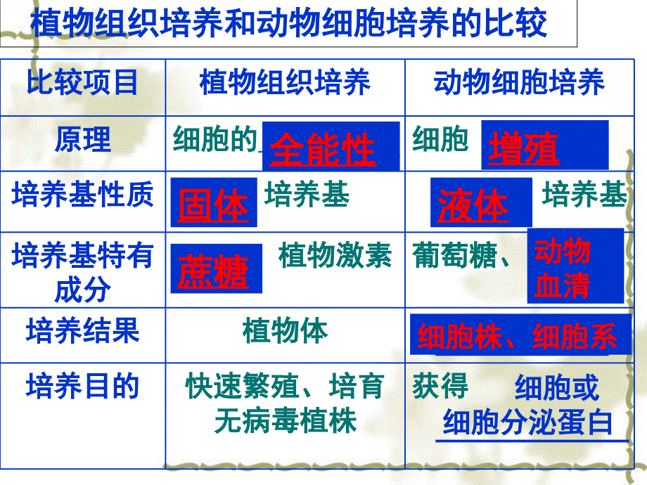 植物组织培养和动物细胞培养的比较_第1页