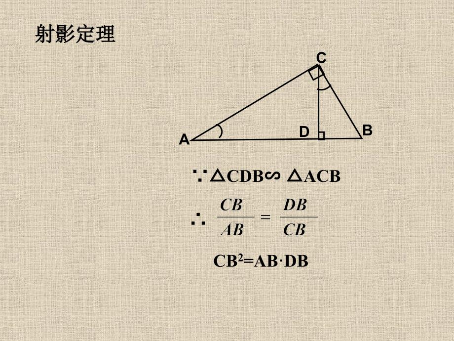 直角三角形相似及相似_第1页