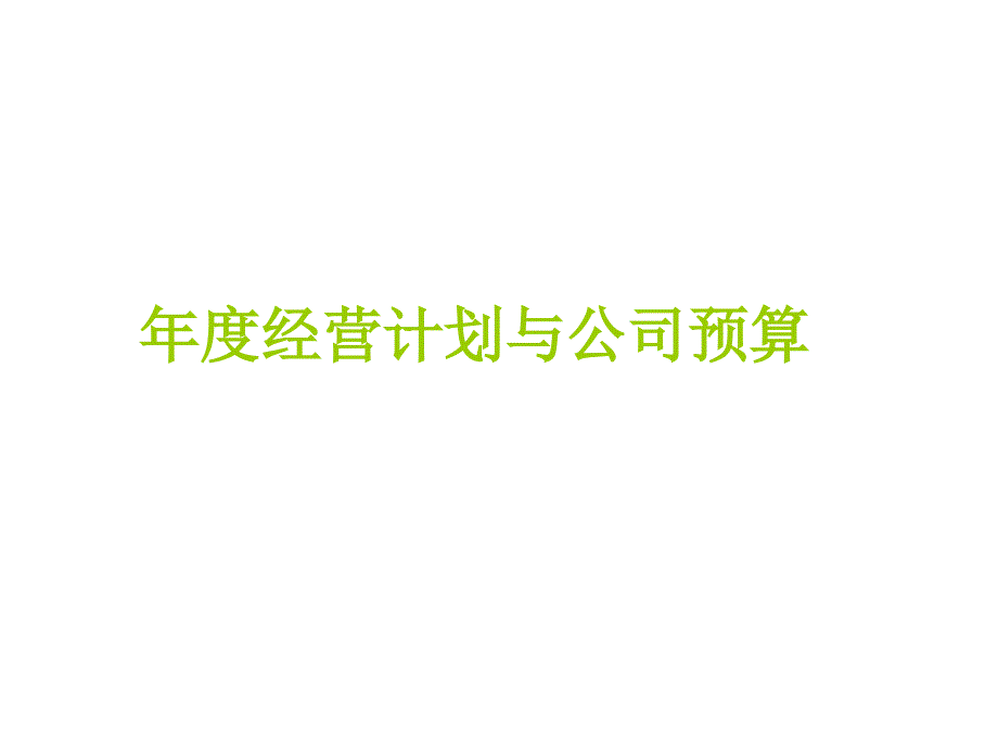 年度经营计划和公司预算_第1页