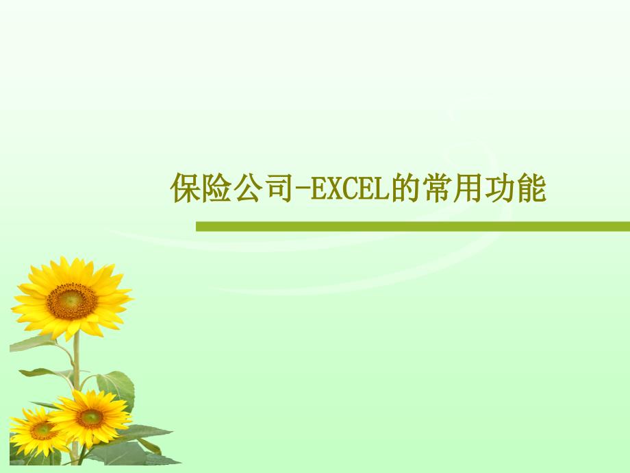 保险公司EXCEL的常用功能课件_第1页