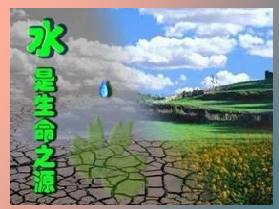 植物对水分和无机盐的吸收_第1页