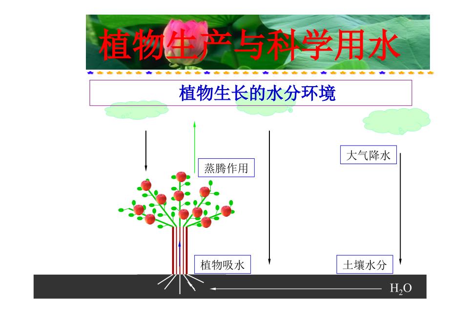 植物生产与科学用水_第1页