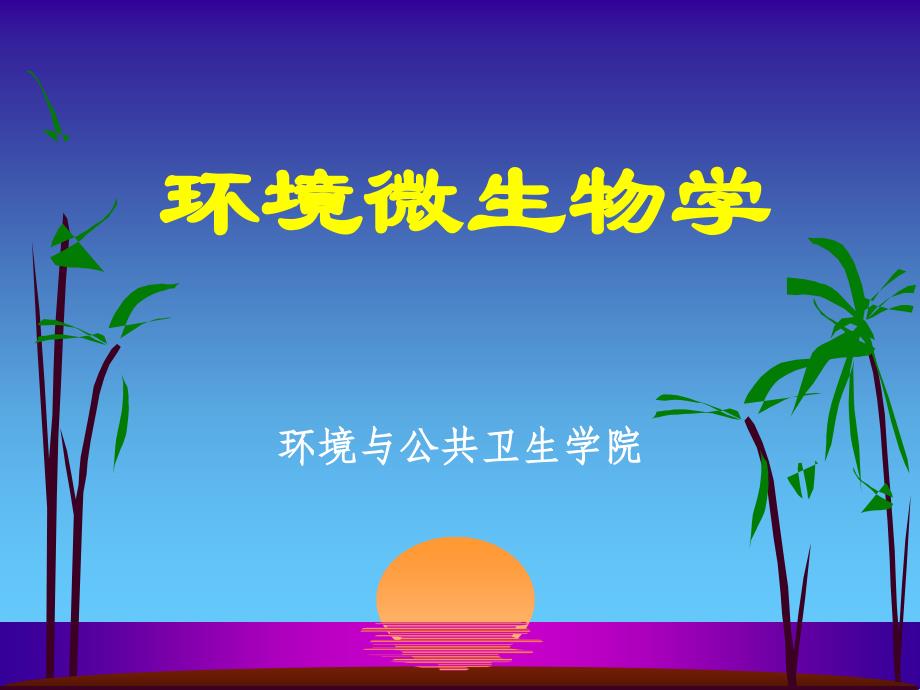 微生物的生长与代谢_第1页