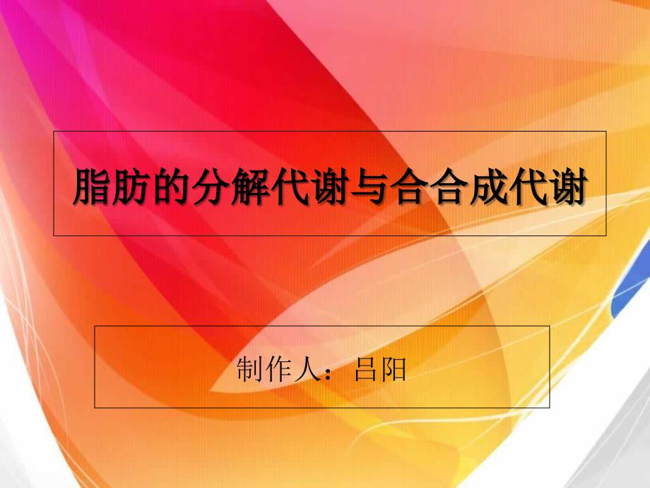 脂肪的分解代谢与合成代谢_第1页