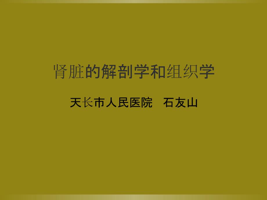 肾脏的解剖学和组织学_第1页