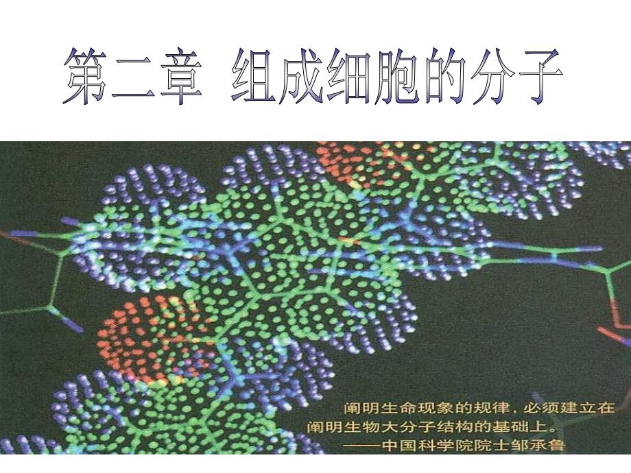 遗传信息的携带者DNA_第1页