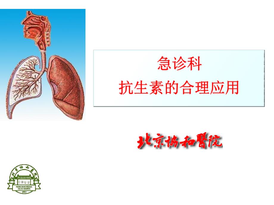 抗生素合理应用全_第1页