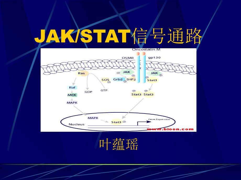 肿瘤相关信号转导通路_第1页